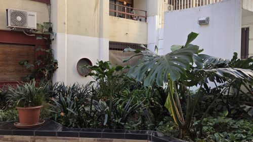 20250604_120541-scaled