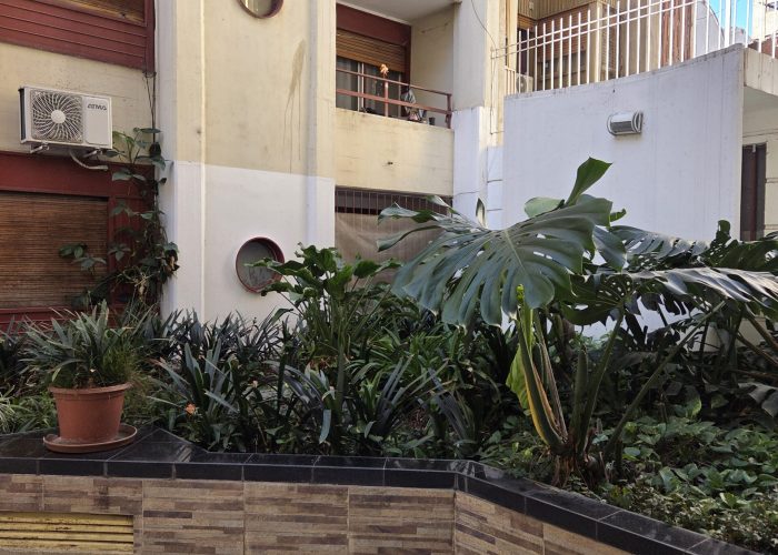 20250604_120541-scaled