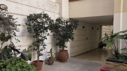 20250604_120548-scaled