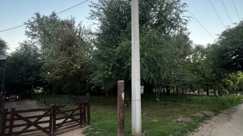 IMG-20260121-WA0042