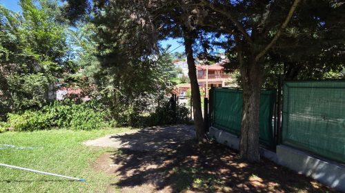 IMG-20260210-WA01621-scaled