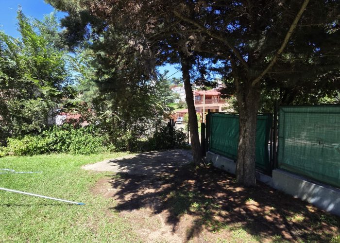 IMG-20260210-WA01621-scaled