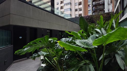 IMG-20260312-WA0108 (1)