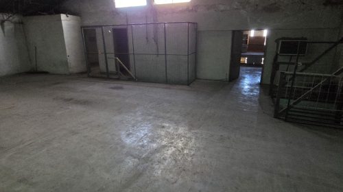 IMG-20260417-WA0225