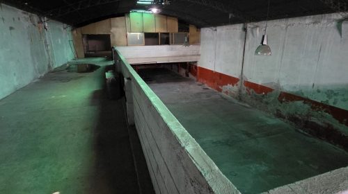 IMG-20260417-WA0229