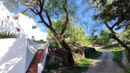 WhatsApp-Image-2024-10-27-at-11.07.07-AM-1