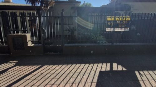 WhatsApp Image 2025-01-24 at 1.24.03 PM