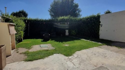 WhatsApp Image 2025-01-24 at 1.25.48 PM