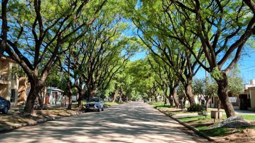 WhatsApp Image 2025-01-24 at 1.25.49 PM (2)