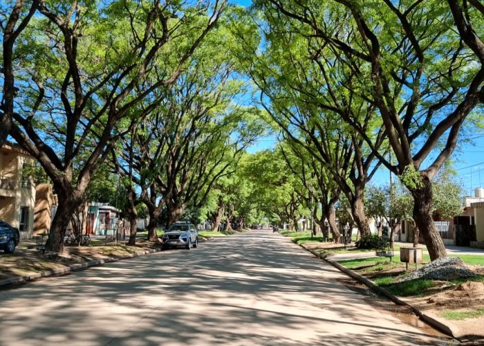 WhatsApp Image 2025-01-24 at 1.25.49 PM (2)