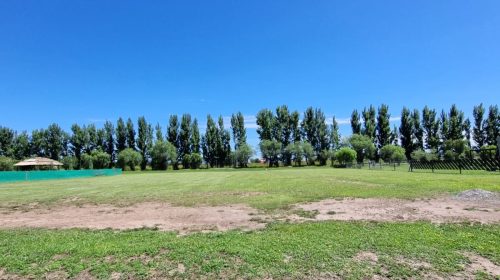 WhatsApp-Image-2025-10-16-at-18.50.55