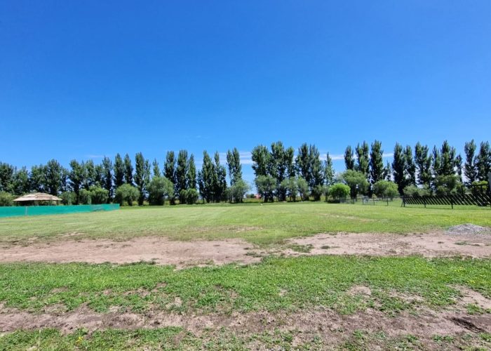 WhatsApp-Image-2025-10-16-at-18.50.55